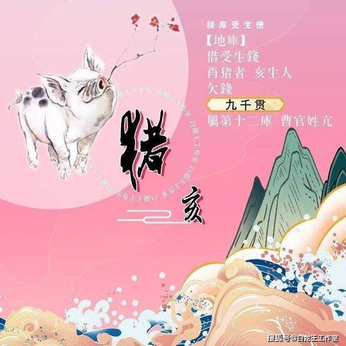 属猪人2024年运势详解:红鸾星动,稳守之年_工作_方面_桃花