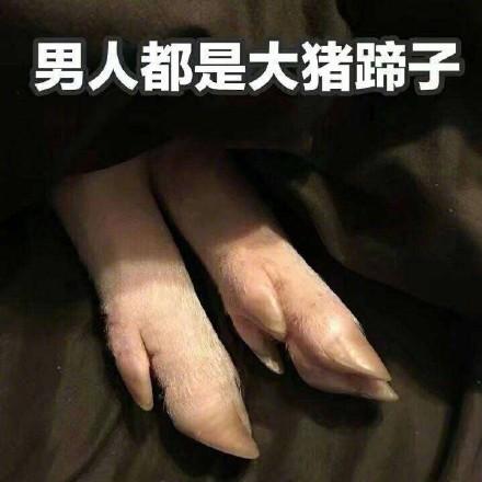 大猪蹄子的出处是哪里介绍