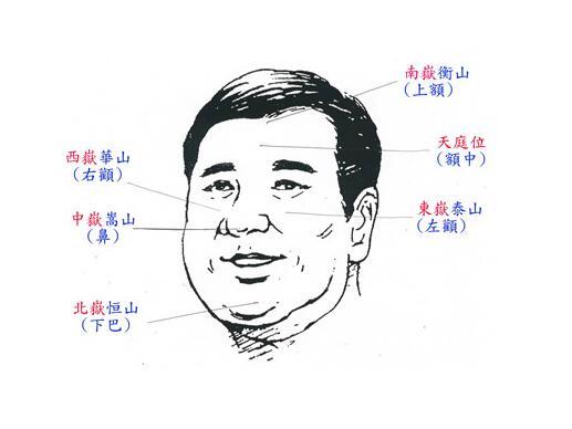 五岳朝拱面相图片,五岳朝天面相谁有