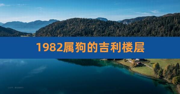 1982属狗的吉利楼层,82年属狗的吉利楼层及朝向