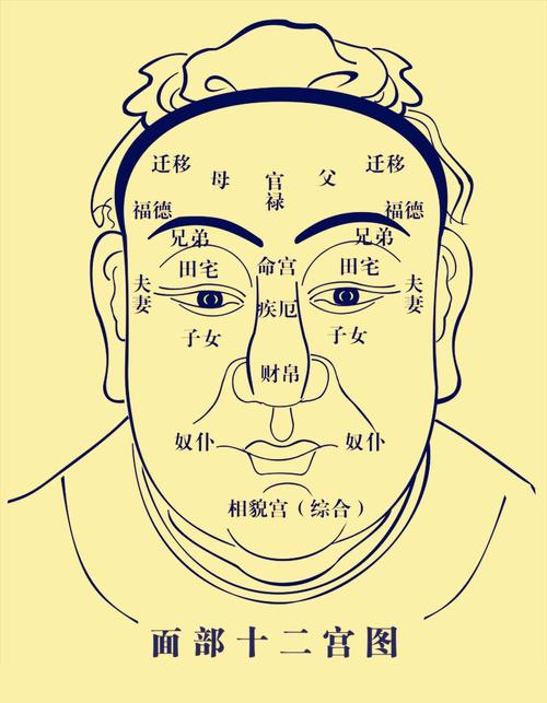 一分钟学面相---观面相可知生男生女