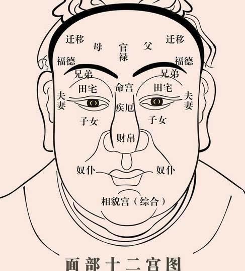 在线解析手相面相算怀孕子女八字测算姻缘桃花运事业财运学业点痣