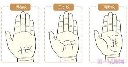 掌纹图解:史上最罕见的手相掌纹图解大全
