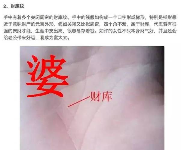 【最美风水师】百年难遇的富婆手相