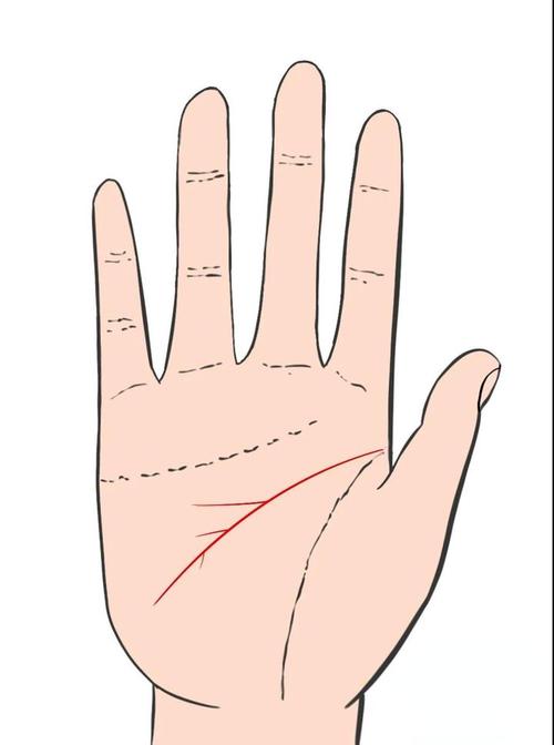 五分钟看手相系列:一分钟看懂智慧线