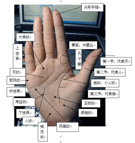 很完整的手相详细分析案例