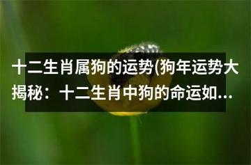 十二生肖属狗的运势(狗年运势大揭秘:十二生肖中狗的命运如何?